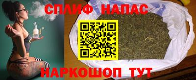 стаф Тара
