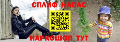 хмурый Тула