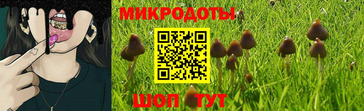 где можно купить наркотик  Галлюциногенные грибы MAGIC MUSHROOMS  Вход с VPN  Лысьва 